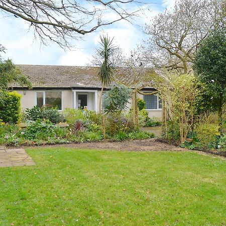 Beech Cottage Ilfracombe Buitenkant foto